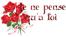 Je ne pense qu'a toi